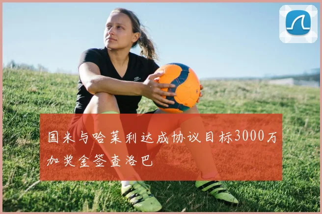 国米与哈莱利达成协议目标3000万加奖金签查洛巴