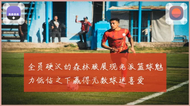 全员硬汉的森林狼展现老派篮球魅力低估之下赢得无数球迷喜爱